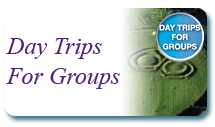 Day Trips for Groups